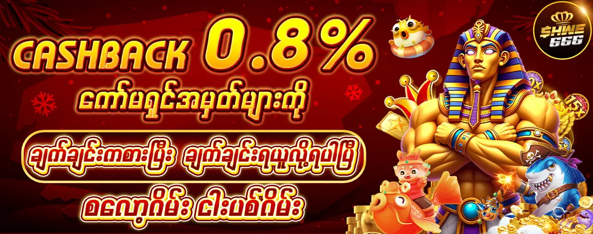 ကစားတိုင်းရမဲ့ ကော်မရှငိ 0.8 %